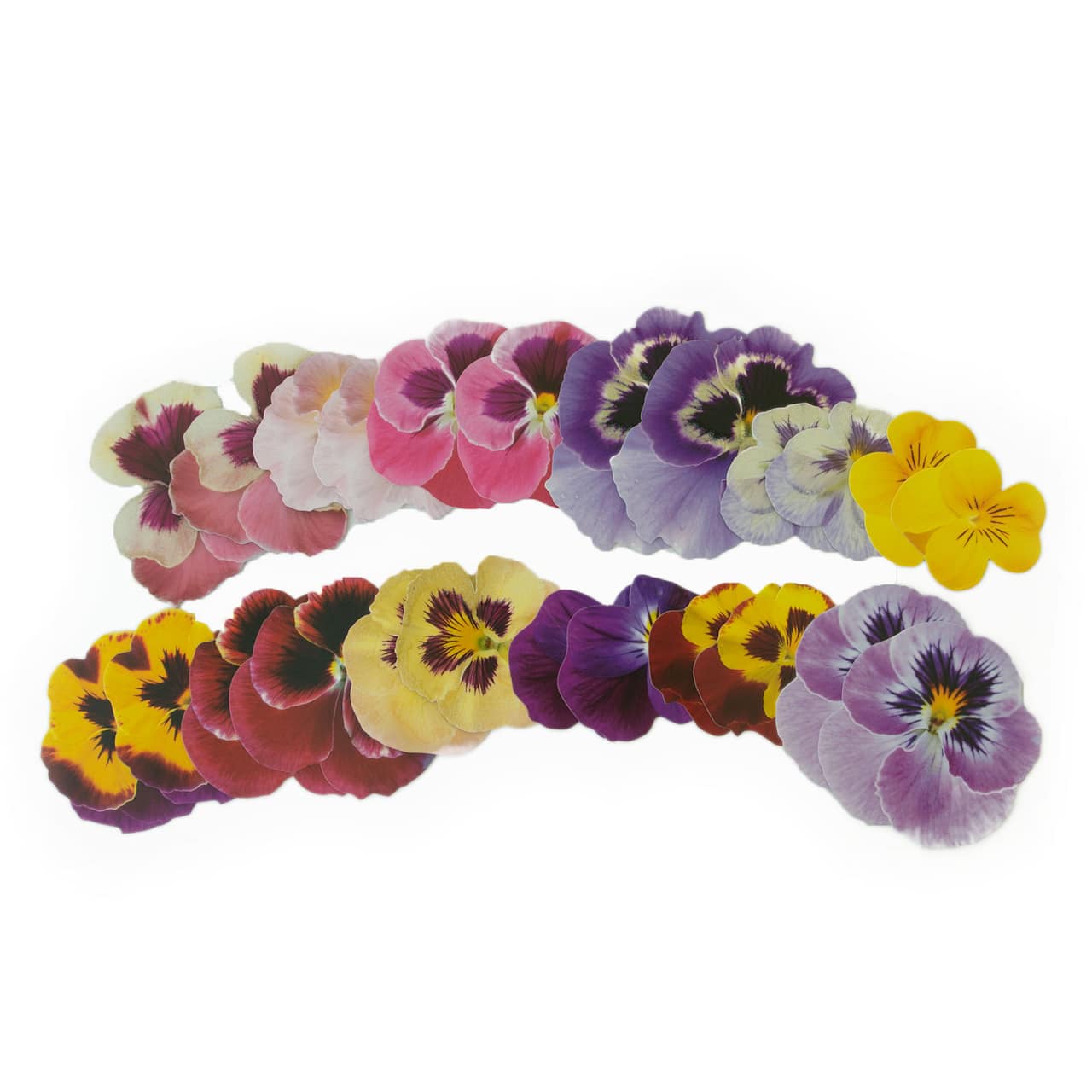 12 Pack: Pansy Die Cut Stickers by Recollections™